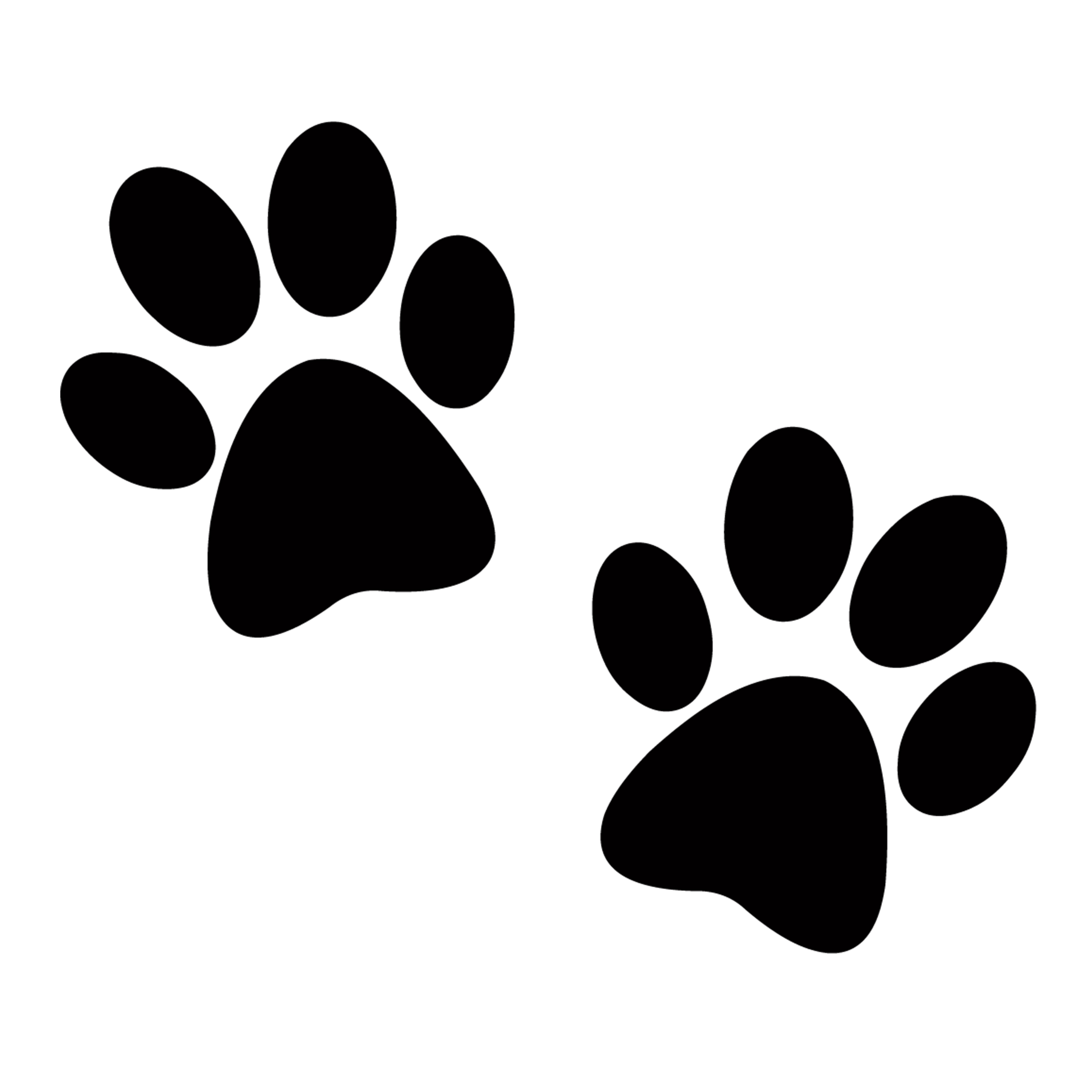 Laser Engraving for Cutting Boards